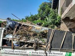 Best Recycling Services for Junk  in Douglas, GA